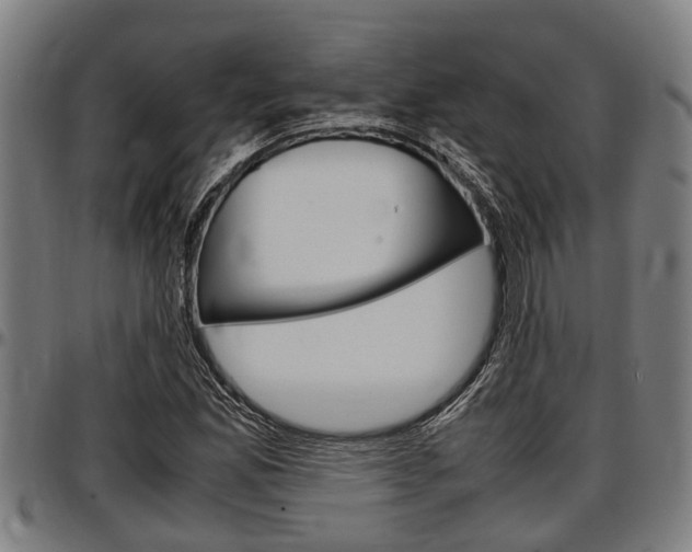 X0000097501165200802220835
