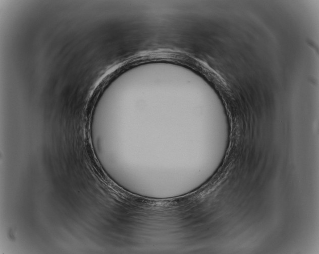 X0000097501166200802220835