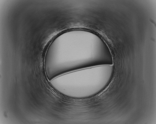 X0000097501167200802220835