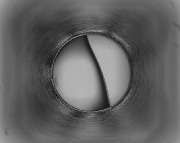 X0000097501169200802220835