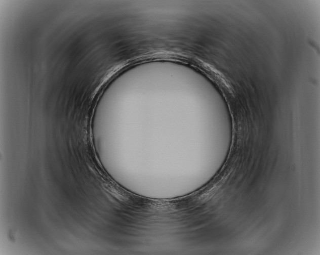 X0000097501170200802220835
