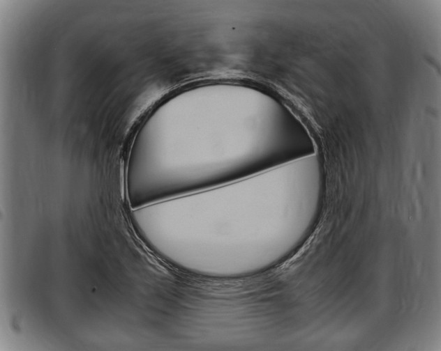 X0000097501171200802220834