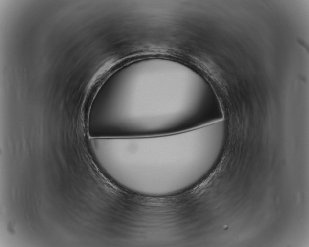 X0000097501172200802220834