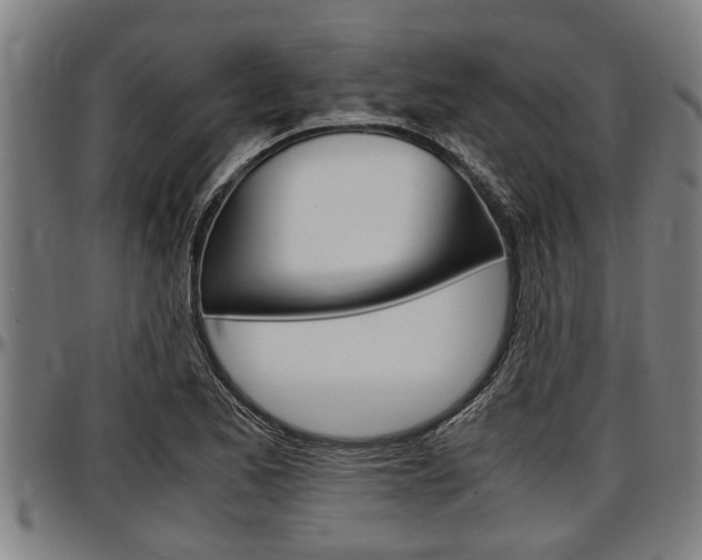 X0000097501173200802220834