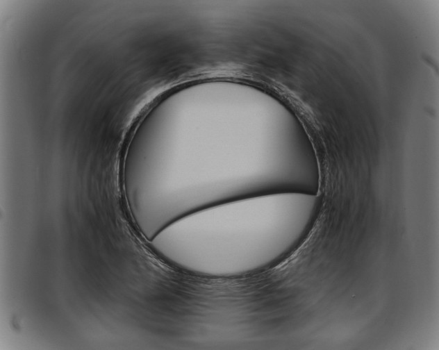 X0000097501174200802220834