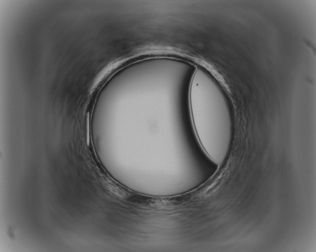 X0000097501175200802220834