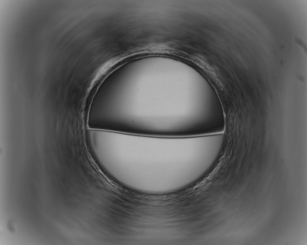 X0000097501176200802220834