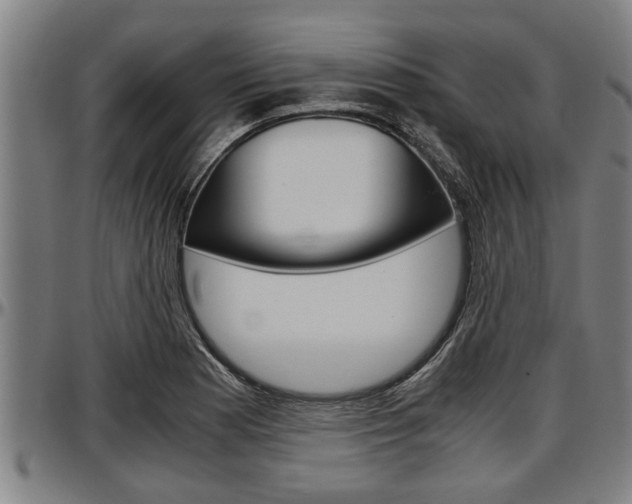 X0000097501177200802220834