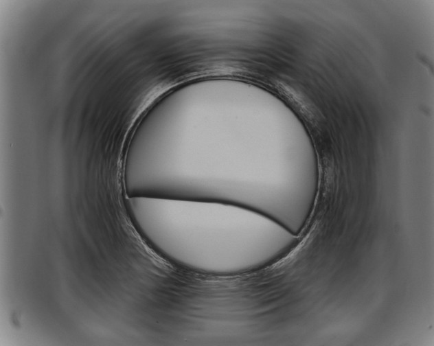 X0000097501178200802220834