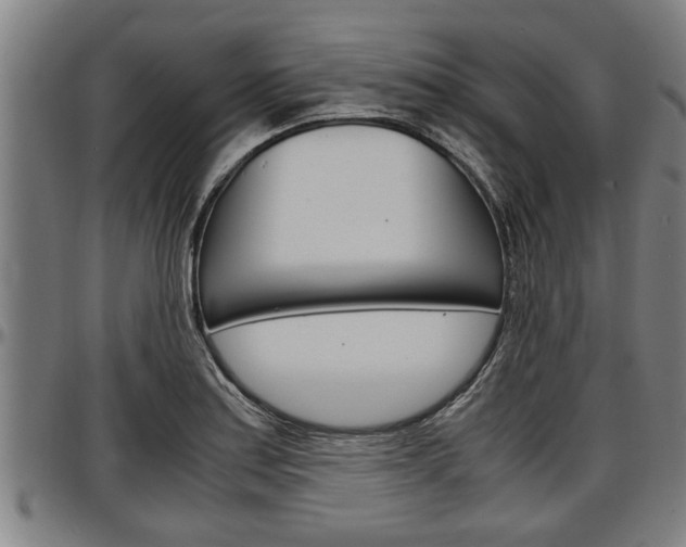 X0000097501179200802220834