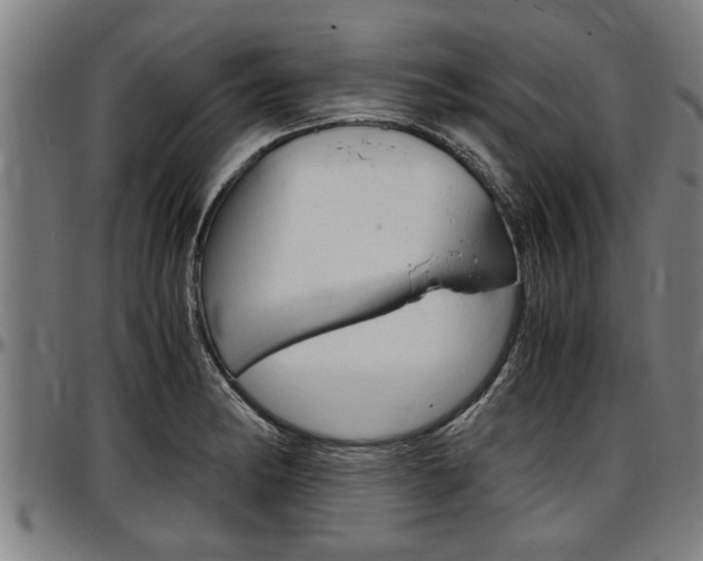 X0000097501182200802220834