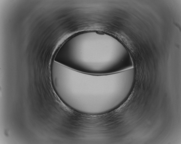 X0000097501184200802220834