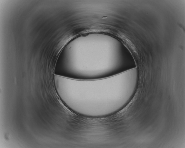 X0000097501185200802220834