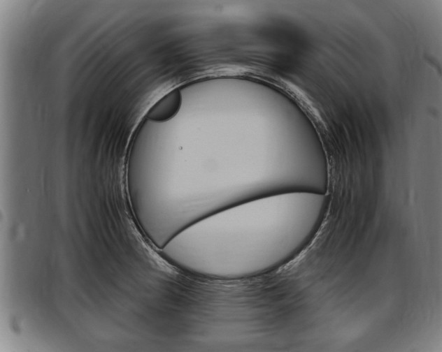 X0000097501186200802220834