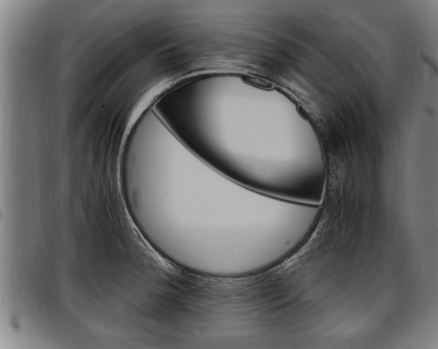 X0000097501188200802220834