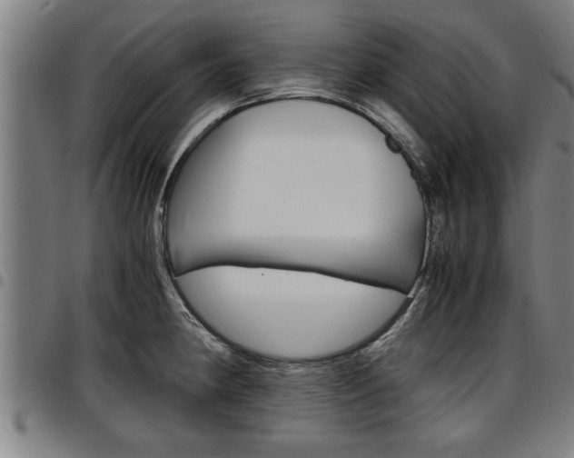 X0000097501190200802220834