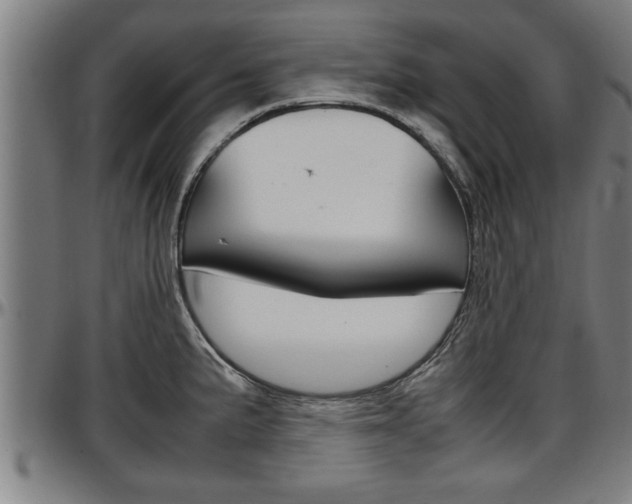 X0000097501191200802220834