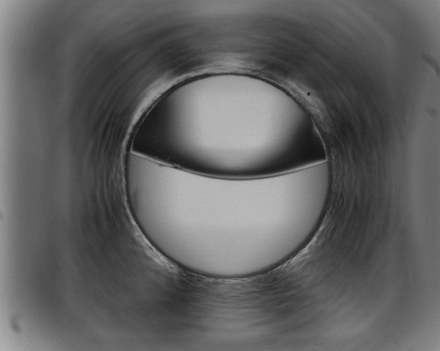 X0000097501192200802220834