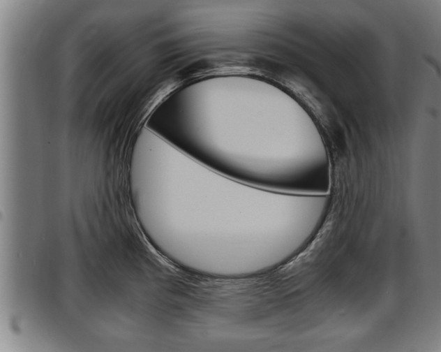X0000097501193200802220834
