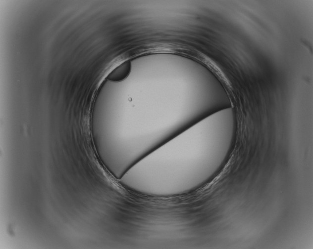 X0000097501194200802220834