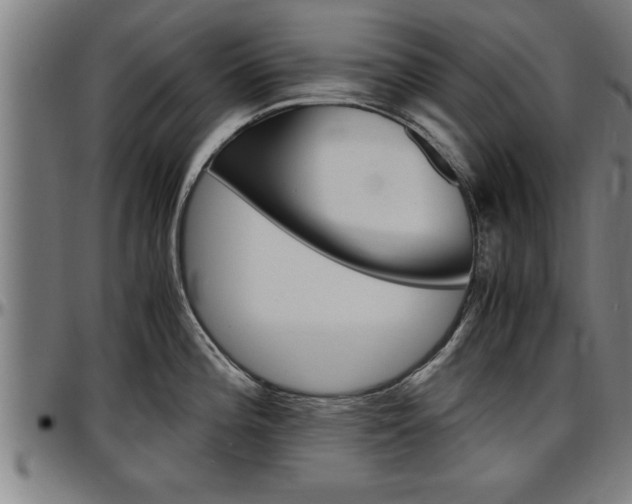 X0000097501196200802220834