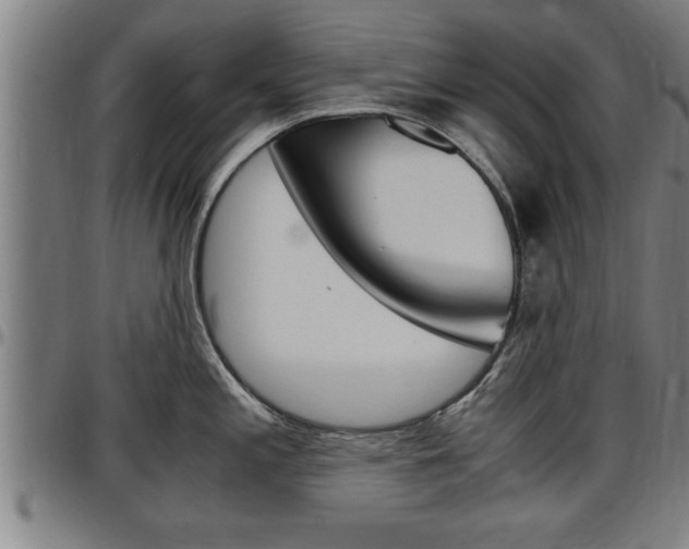 X0000097501197200802220834