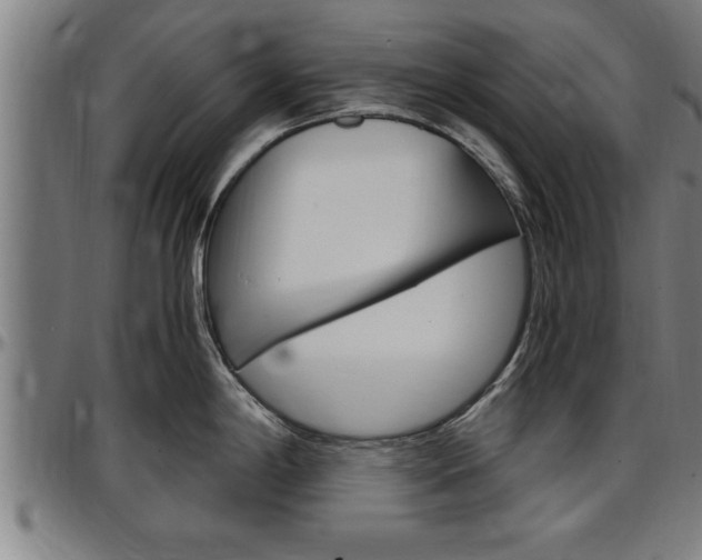 X0000097501198200802220834