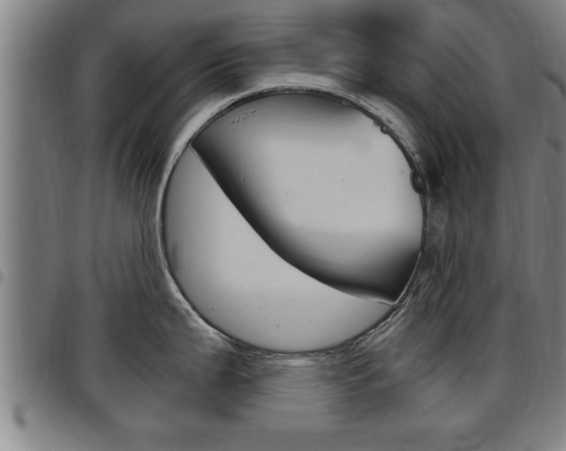 X0000097501199200802220834