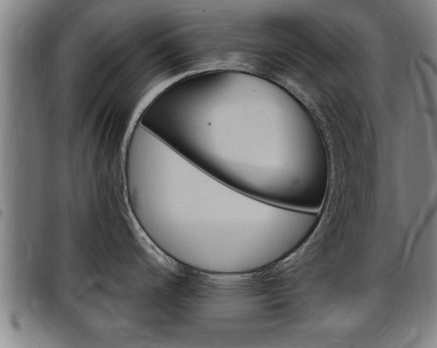 X0000097501200200802220834