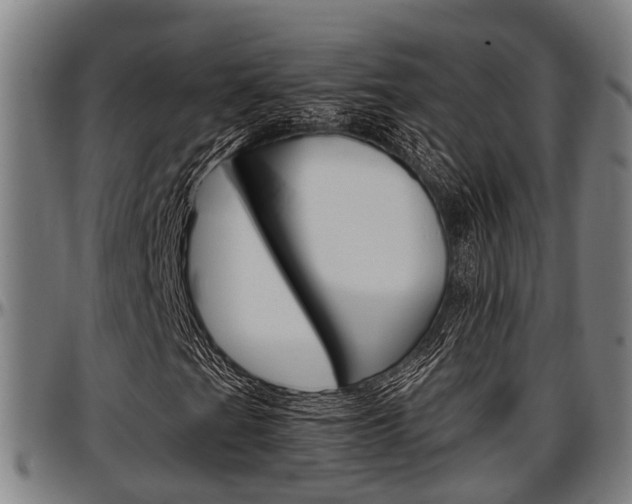 X0000097501201200802220833