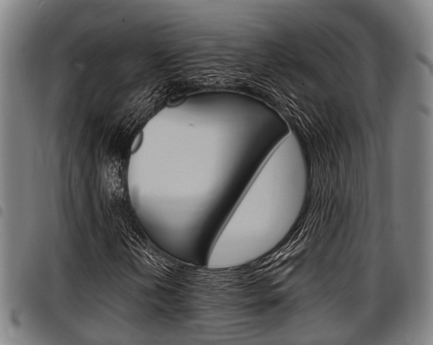 X0000097501202200802220833