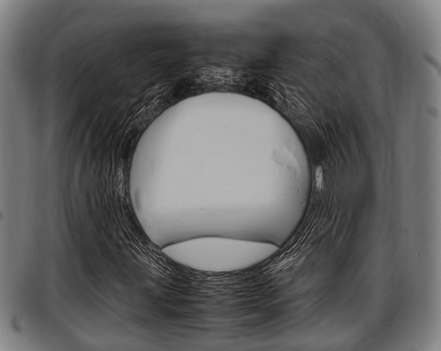 X0000097501203200802220833