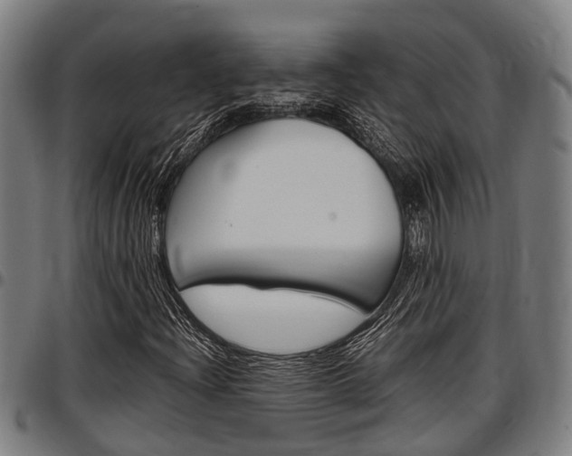 X0000097501204200802220833