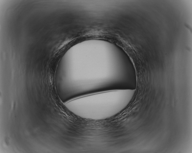 X0000097501206200802220833