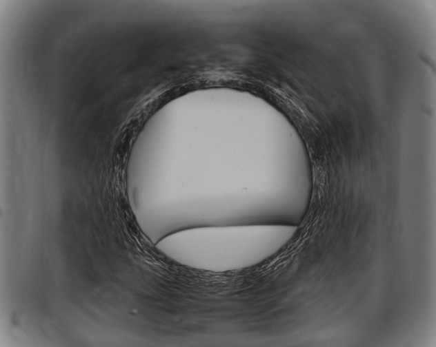 X0000097501207200802220833