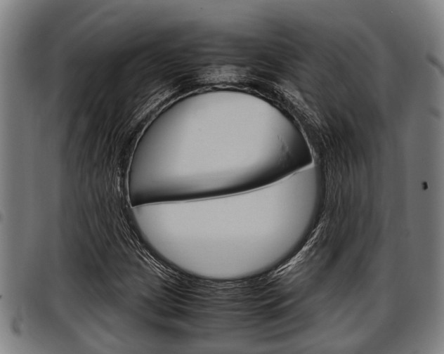 X0000097501209200802220833