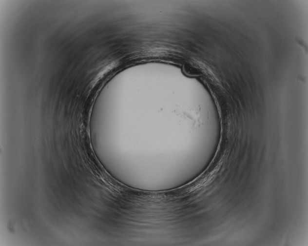 X0000097501210200802220833