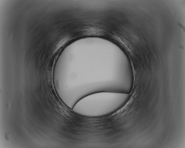 X0000097501211200802220833