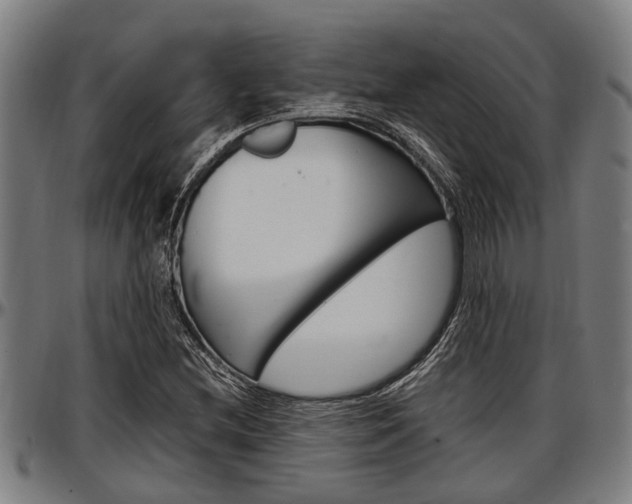 X0000097501212200802220833