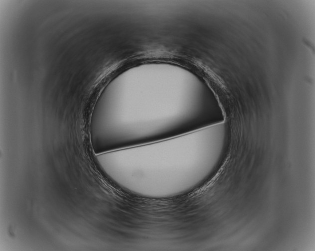 X0000097501213200802220833