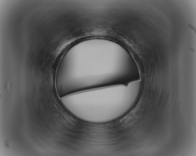 X0000097501214200802220833