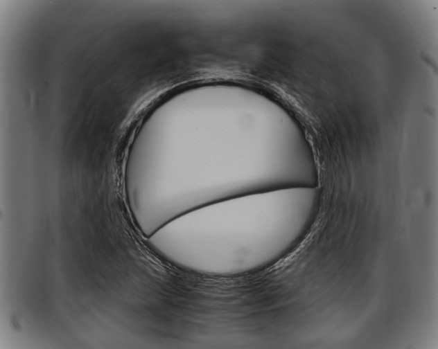 X0000097501215200802220833