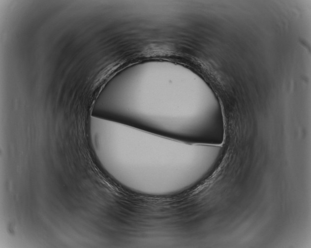 X0000097501217200802220833