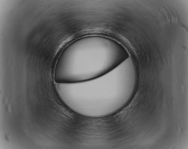 X0000097501218200802220834
