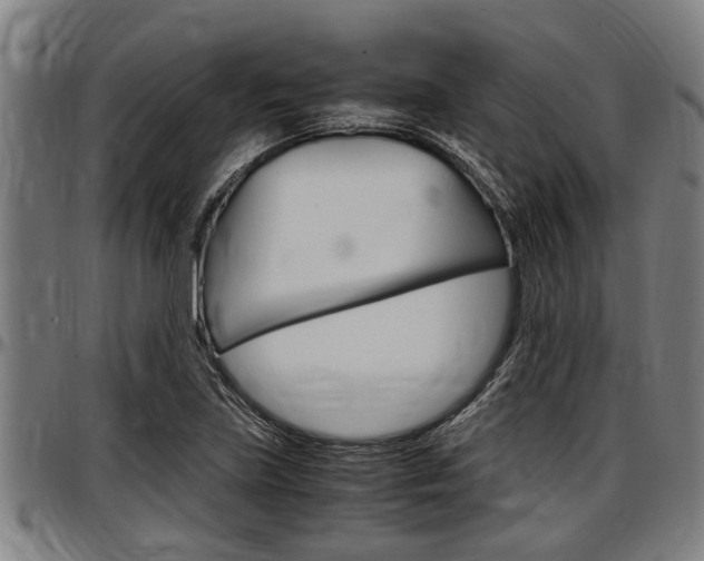 X0000097501219200802220834