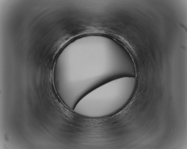 X0000097501220200802220834