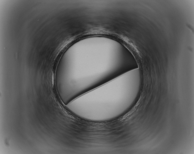 X0000097501221200802220834