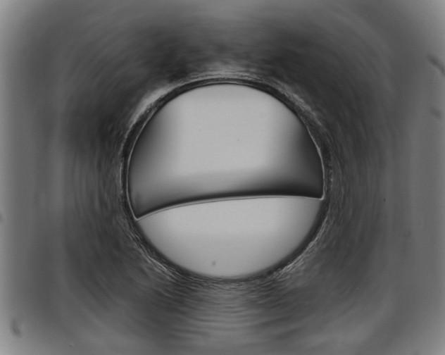X0000097501222200802220834