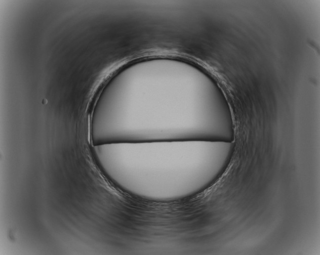 X0000097501223200802220834
