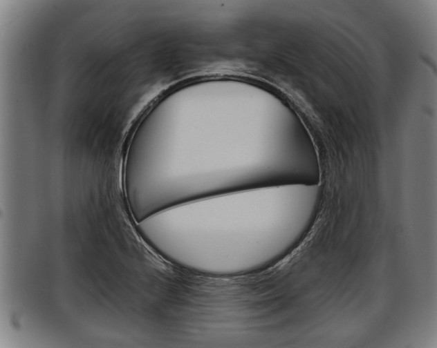 X0000097501224200802220834